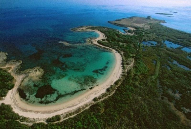 Azienda Agrituristica Masseria Campi サン・ヴィート・デイ・ノルマンニ エクステリア 写真