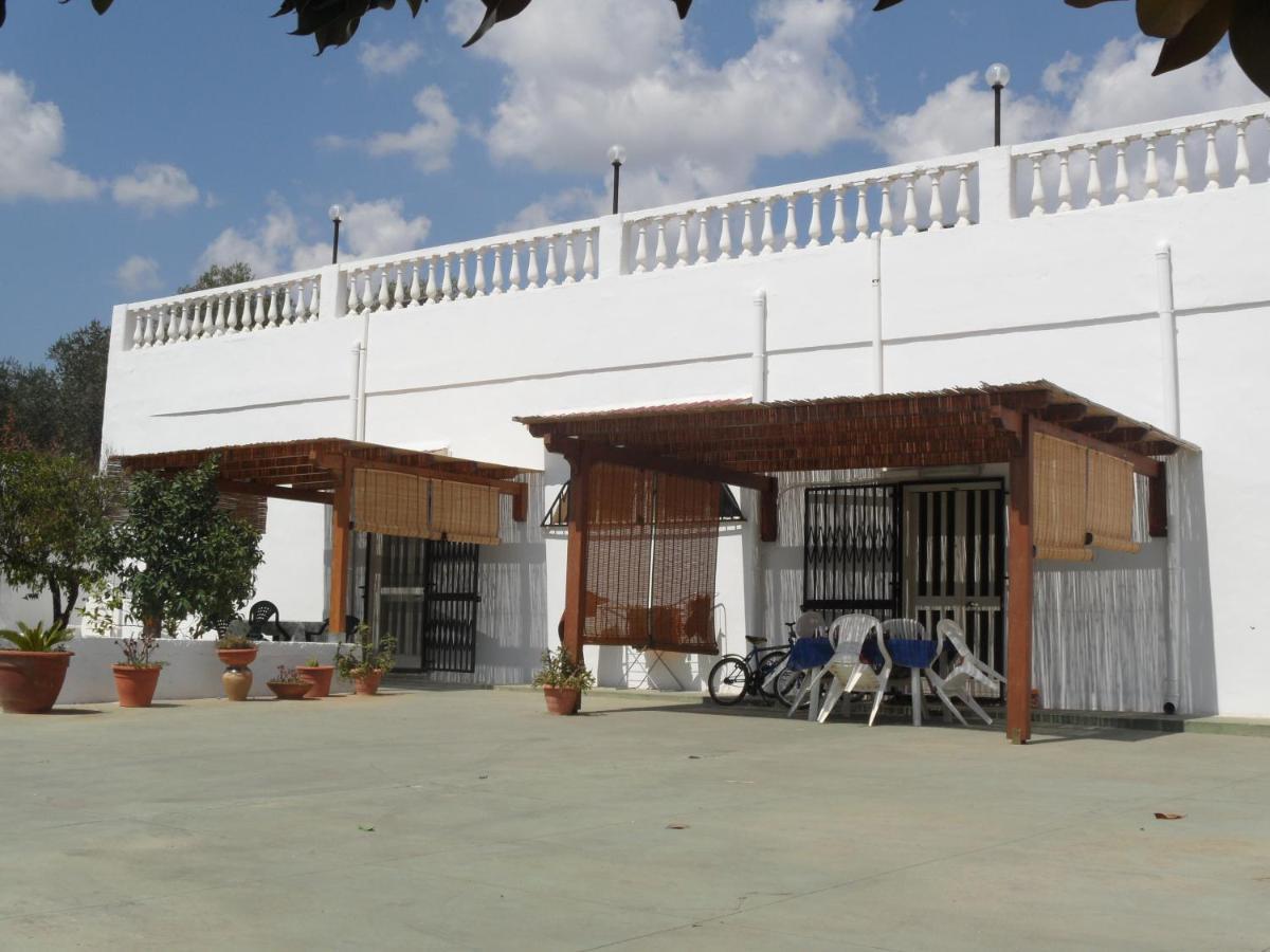 Azienda Agrituristica Masseria Campi サン・ヴィート・デイ・ノルマンニ エクステリア 写真