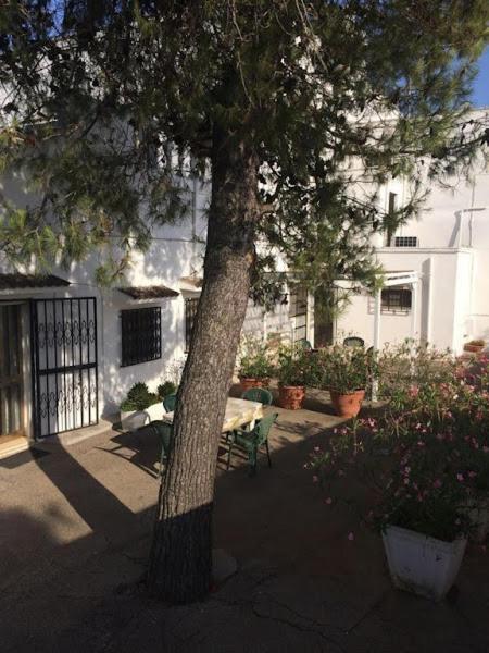 Azienda Agrituristica Masseria Campi サン・ヴィート・デイ・ノルマンニ エクステリア 写真